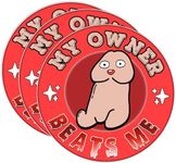 (3PCS) My Owner Beats Me Sticker Fu