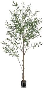LYERSE Fau