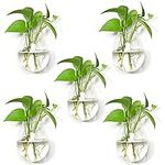 5 Packs Wall Hanging Planters Glass