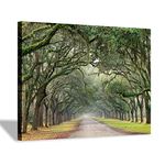 Oak Tree Canvas Wall Art: Green Landscape Artwork Forest Picture Painting for Living Room (16'' x 12'' x 1 Panel)