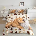 Cat Dog Comforter Set Cats Print Bedding Set Animal Pet Comforter Puppy Dog Quilted Duvet Set for Kids Boys Girls Microfiber Full