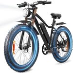 isinwheel M10 Plus Electric Bike fo