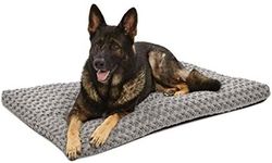 Plush Dog Bed | Ombré Swirl Dog Bed