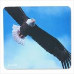 Allsop Bold Eagle 29303 Mouse Pad