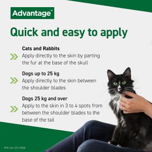 Advantage Spot On Flea Treatment for Cats & Small Dogs Under 4kg