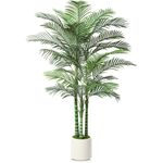 OAKRED Artificial Palm Tree, 7FT Fake Tree for Indoor,Faux Golden Cane Palm Tree with White Planter and Fake Moss, Fake Tropical Plant for Home Decor Office Porch