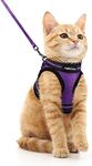 rabbitgoo Cat Harness and Leash Set