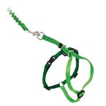 PetSafe Come With Me Kitty Harness and Bungee Leash, Harness for Cats, Small, Electric Lime/Green