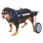 Walkin Wheels For Dogs