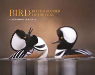 Bird Photographer of the Year: Coll