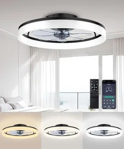 Ceiling Fans with Lights and Remote, 20"Modern Low Profile Ceiling Fan with Light , Stepless Color Temperature Change and 6 Speeds, Flush Mount Ceiling Light for Bedroom, Kids Room and Living Room.