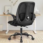 Staples Office Chairs