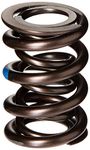 Manley 221424-16 Dual Engine Valve Spring