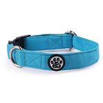 Dog Collar With Blue Backlights