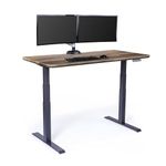 Vari Electric Standing Desk 60 - Sit to Stand Desk - Push Button Memory Settings (Reclaimed Wood, 60")