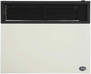 Ashley Hearth Products DVAG30N 25000 BTU Direct Vent Natural Gas Heater, Cream