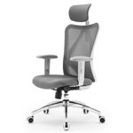 SIHOO M18 Ergonomic Office Chair, Computer Desk Chair with Adjustable Headrest and Lumbar Support, High Back Executive Swivel Chair for Home Office (Grey)
