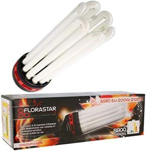 Lampe CFL 