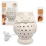 Deco Electric Owl Candle Warmer, Wax & Tart Warmer for Indoor Decor, Includes 4 Wax Cubes and Halogen Bulb(4.5 X 4.5 X 6 inches)- Freshen Home or Office w Desired Fragrance- Great Holiday and Wedding Gift