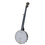 Deering Artisan Goodtime 5-String Openback Banjo