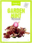 Flava It Garden Mint Marinade - 6 x