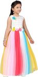 Girl's Multicolor Unicorn Floral Design Gown Dress (3-4 Years, Floral)