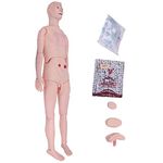 Teaching Model,Training Manikin Model Full Body Mannequin Patient Life Size Simulator for Nursing Medical Training Teaching Education Medical Supplies,Male