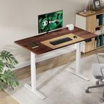 ErgoYou - Electric Height Adjustable Standing Table - Dual Motor 3 Stage -125 kg Weight Capacity - E1A Series - Ergonomic Sit Stand Computer Desk – (Walnut, 59 x 29.5 inches)