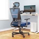 Dripex Ergonomic Office Chair, High Back Desk Chair, Computer Mesh Chair with Lumbar Support, Adjustable Headrest & 2D Armrest, 90°-135°Tilt Function, 360° Swivel Home Office Task Chair, Blue