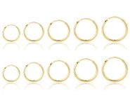 Linxins Gold Hoop Earrings 5 Pairs Of Hoops Earrings In 925 Sterling Small Gold Hoops Earrings For Women Men Sterling Gold Earrings Hoops Sleeper Earrings Hypoallergenic 8/10/12/14/16mm