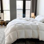 Martha Stewart 240 Thread Count White Feather and Down Comforter - All Season Warmth Duvet Insert with Corner Tabs - Full/Queen Size