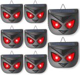 2025 8PACK Solar Nocturnal Animal R