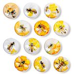 Fridge Magnets for Adults 12 Pcs Decorative Glass Refrigerator Magnets Cute Colorful Magnets for Fridge Dishwasher Classroom Whiteboard School Lockers (Bee)