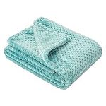 Fuzzy Blanket or Fluffy Blanket for