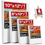 4 Packs Stretched Canvases for Pain