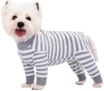 AITOLI Dog