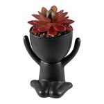 Artificial Succulent Plants Small Fake Succulents Plant in Black Ceramic Pots, Artificial Potted Plants for Decor Indoor, Faux Mini Succulents Boho Greenery Decor for Home Bathroom Office Desk