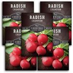 Survival Garden Seeds - Champion Radish Seed for Planting - Packet with Instructions to Plant and Grow Red Radishes in Your Home Vegetable Garden - Non-GMO Heirloom Variety - Vegetable Seed Planting