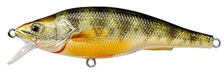 LIVE TARGET Livetarget Yellow Perch Crankbait, Shallow