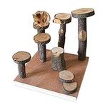 Hamster Climbing Wooden Stand Platf