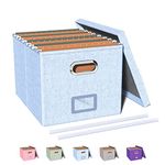 Oterri File Organizer Box, Portable File Storage Box with Lid, Filing Box with Handle, File Organizer for Hanging File Folders Letter Size, File Folder Box, 1 Pack, Sky-Blue (No Folders)