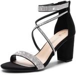 DREAM PAIRS Women's Chunk Low Heel Pump Sandals,Size 10,Black-Suede,CHUNK