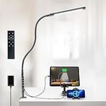 LED Desk Lamp with Clamp: Desk Lamp