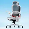 SIHOO B100 Office Chair, Comfy Ergonomic Office Chair, High Back Computer Chair with Adaptive Lumbar Support & wide Headrest, Flip-up Armrests, Swivel Desk Chair for Long Hours, WITHOUT Footrest, Grey