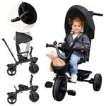 LIONELO Kori 2in1 Pushchair Three wheeler for Kids from 18 months to 5 years up to 25 kg Tricycle/Stroller Bike with Parent steering control, 360-deg swivel seat Harness Canopy Bucket Bag Cup Holder