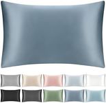 SILKTALE 100% Mulberry Silk Toddler/Travel Pillowcase,Both Sides 19MM Small Silk Pillow Case with Hidden Zipper for Kids/Baby 1pc, Ash Blue,13"x18"