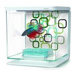 Marina Betta Aquarium Starter Kit, Geo Bubbles