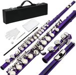 Ktaxon C Closed Hole Flute 16 Keys 