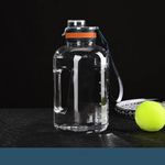 Fruit Infuser Water Bottle Bpa Frees