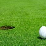 Grass Seeds For Golfs